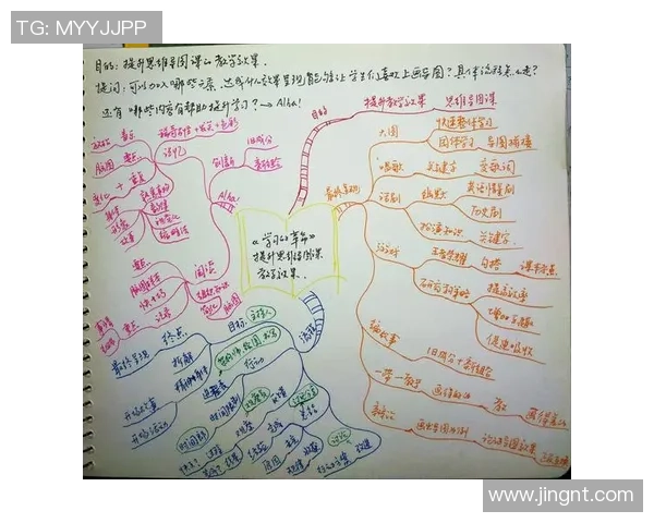 乒乓球场上的奋斗与梦想：陈芳的深度对话与人生启示
