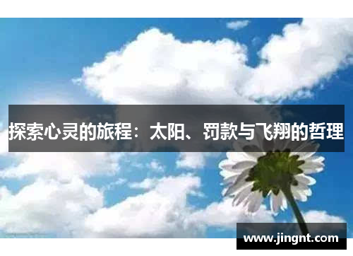 探索心灵的旅程：太阳、罚款与飞翔的哲理